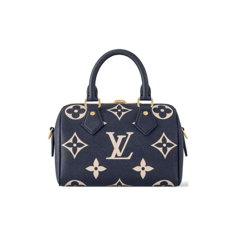 Louis Vuitton Women's Speedy Handbag
