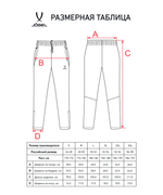 Брюки спортивные CAMP 2 Lined Pants, темно-синий