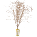 Ветка декоративная «Морозное солнце» 40 см, Шампань