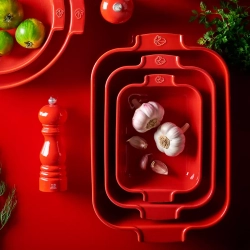 Прямоугольная форма для запекания 40х25.7см 5.2л Peugeot Red