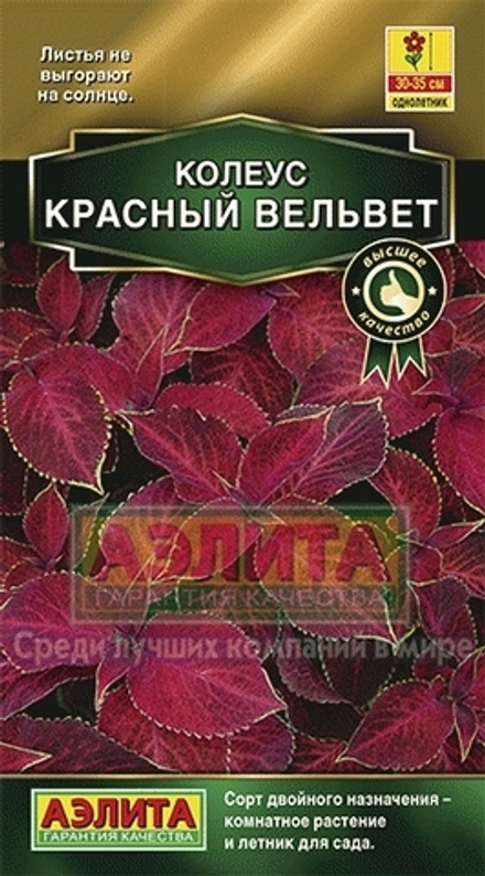 Колеус Красный вельвет блюме 5шт Аэлита