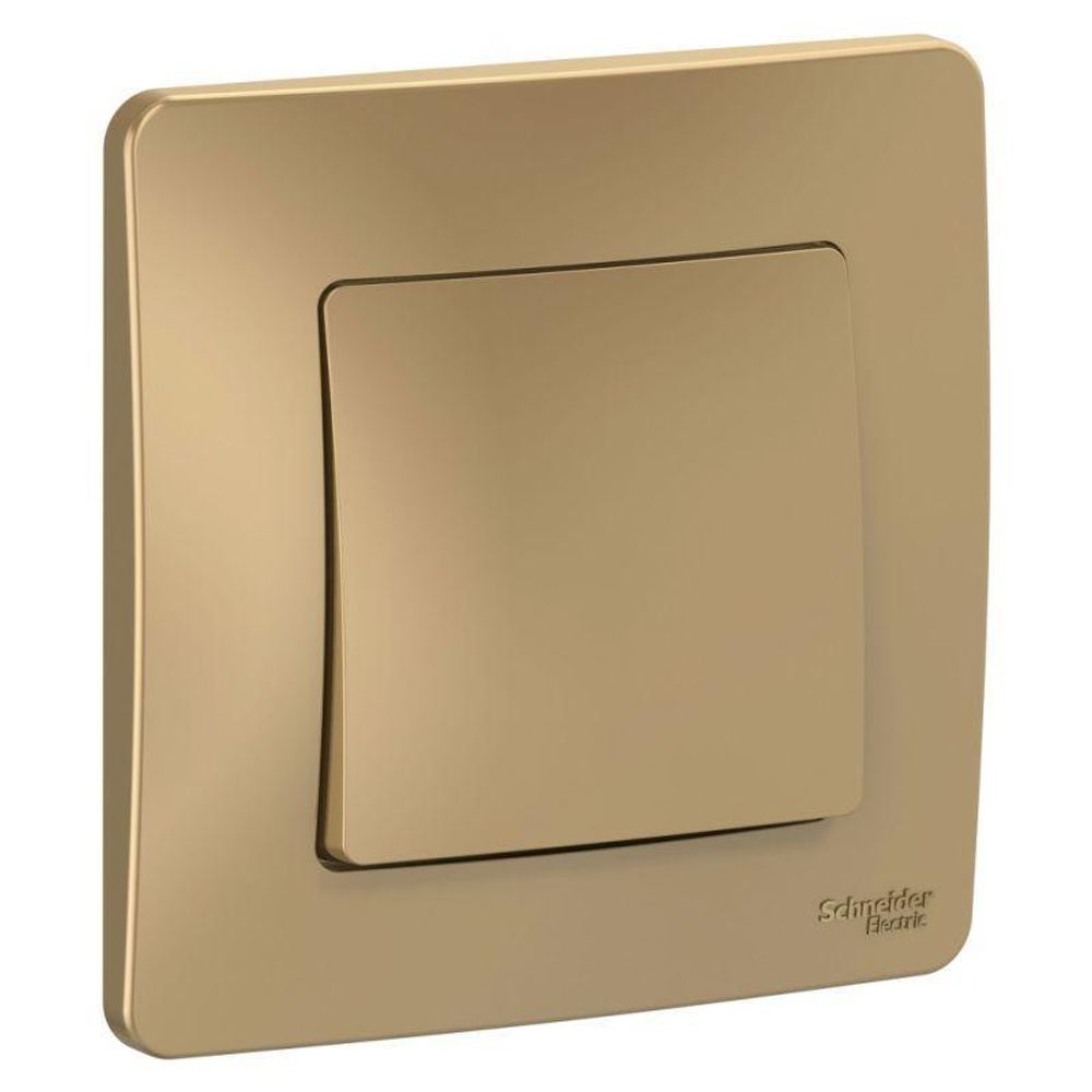 Выключатель 1-кл. СП Blanca 10А IP20 (сх. 1) 250В титан SE BLNVS010104 Выключатель 1-кл. СП Blanca 10А IP20 (сх. 1) 250В титан SE BLNVS010104