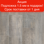 Замковая SPC-плитка Tarkett Blackwood