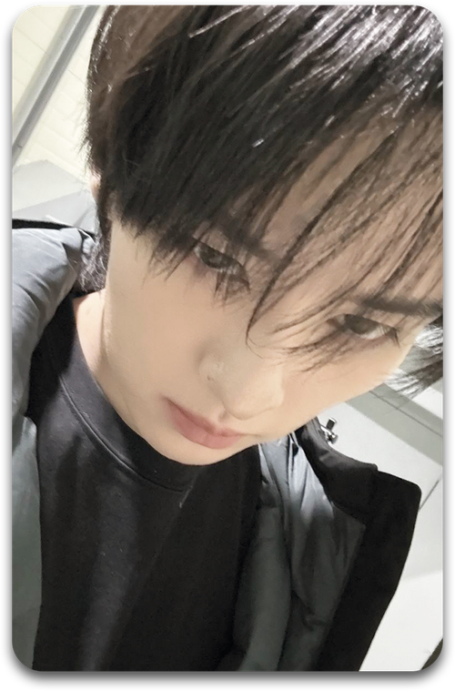 Карта / STRAY KIDS #2133