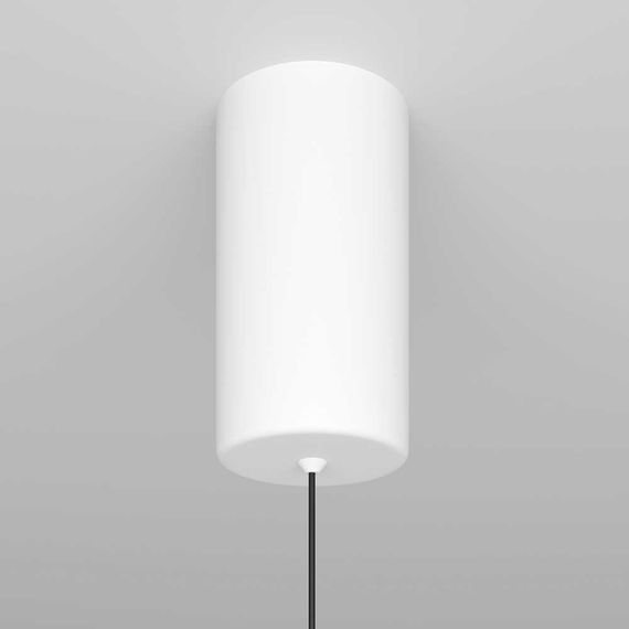 Подвесной светильник Maytoni Ray P022PL-L10W