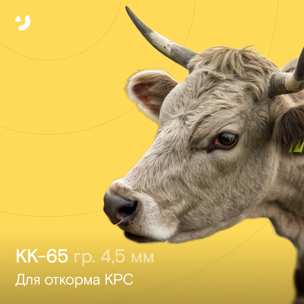 КК-65 (гр. 4,5 мм)