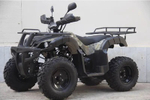 Квадроцикл UNIVERSAL AVENGER JR 200