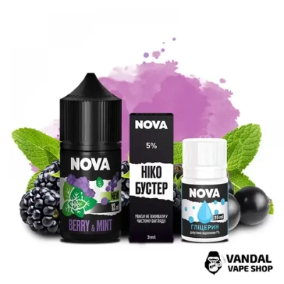 CHASER NOVA - Berry Mint (5% 30ml)