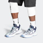 Кроссовки Adidas D Rose 10