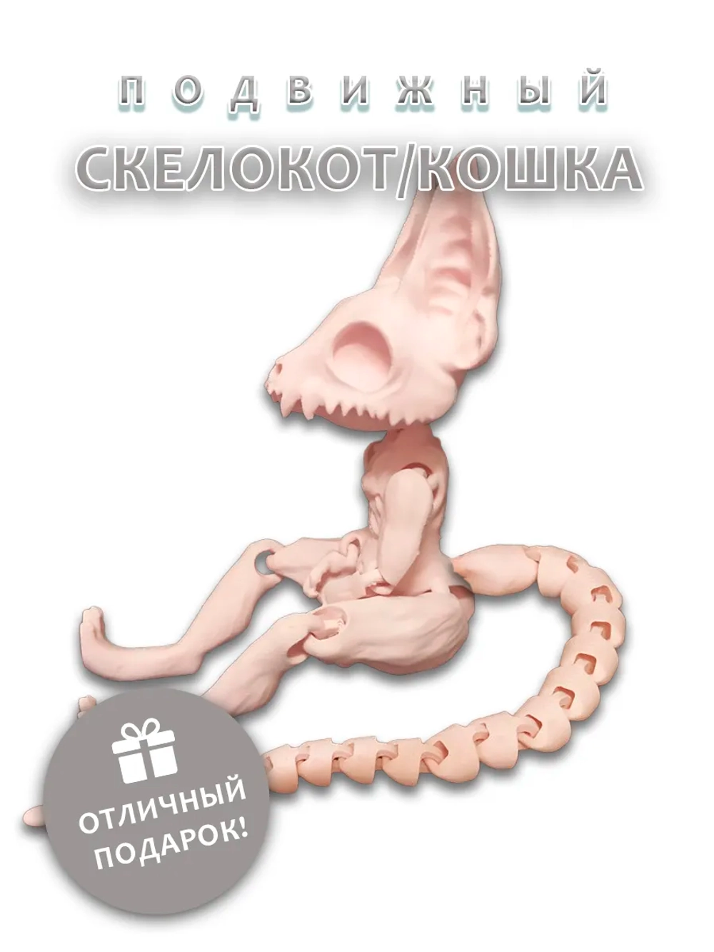 Скелет Кошки