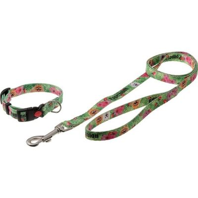 Комплект ошейник + поводок (V.I.Pet) "Фотопринт-Шпиц померанский" 15мм