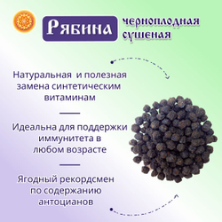 Рябина черноплодная.