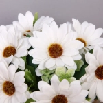 Цветочная композиция «Мечта» 10*20см Ромашки белые