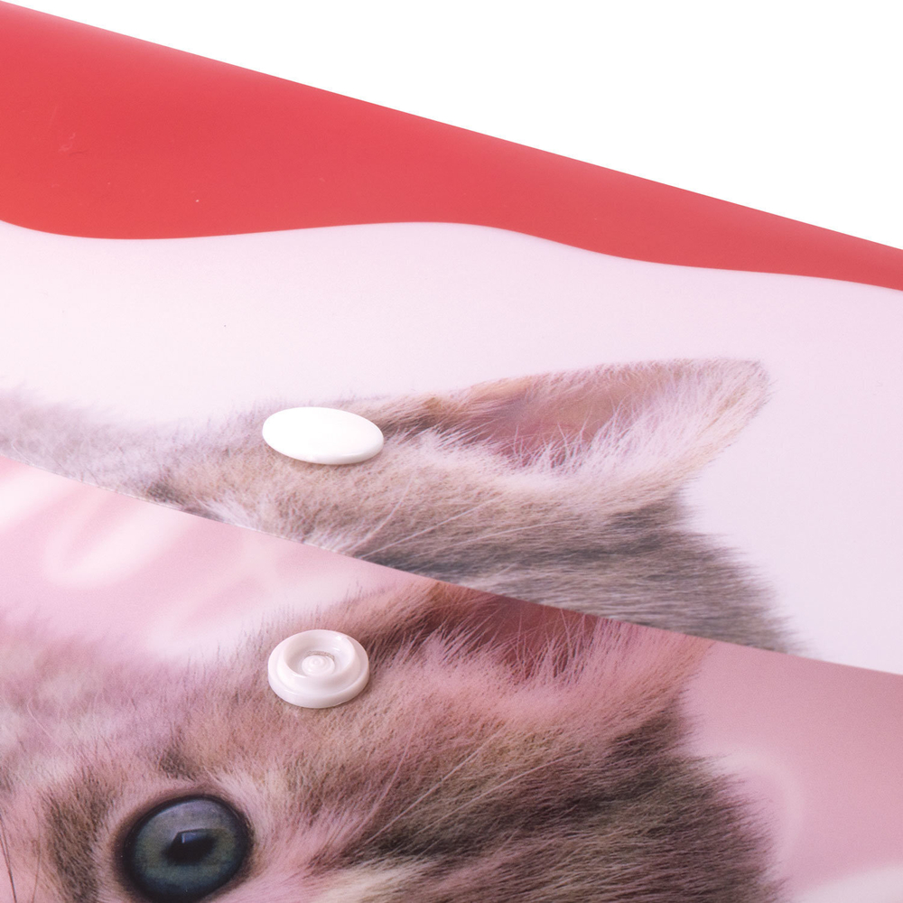 Папка-конверт с кнопкой BRAUBERG "FUNNY CAT" А4 160 мкм цветная печать (12 штук в упаковке)
