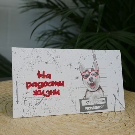 Конверт акварельный "На радости жизни"