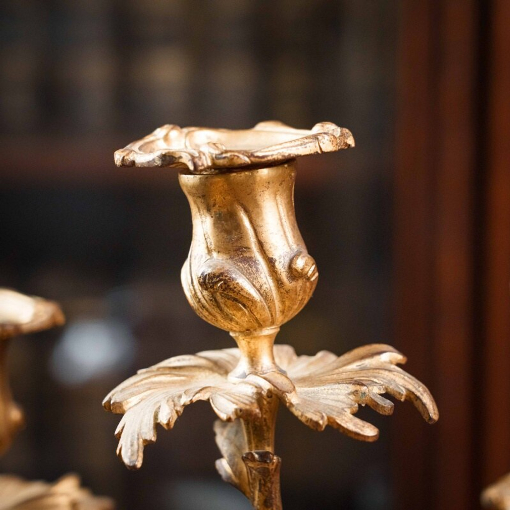 Пара бронзовых канделябров на 5 свечей