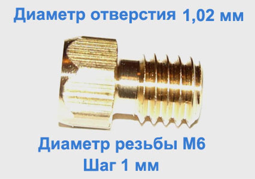 Жиклер диаметром резьбы М 6 с шагом 1 мм с отверстием 1,02 мм