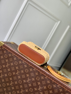 Louis Vuitton Vanity Chain Pouch