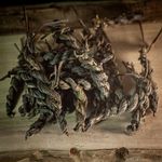 Шэн косичка