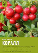 Брусника Коралл