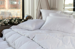 Подушка пуховая с бортиком 50x68 German Grass White Familie Down