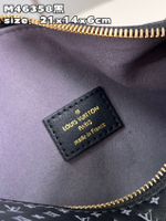 Louis Vuitton Side Trunk