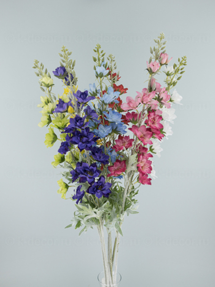 Дельфиниум Касабланка