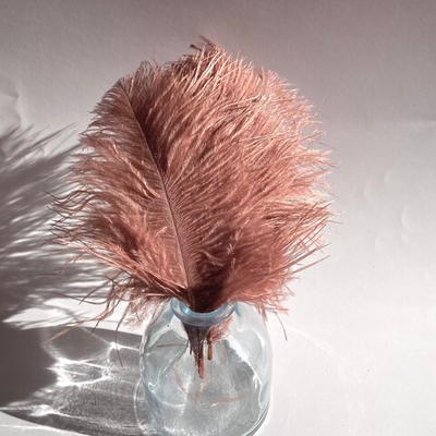 Перо страуса медвежье ушко 15 - 20 см.