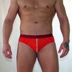 Трусы мужские брифы красные Van Baam VB-411-AN011