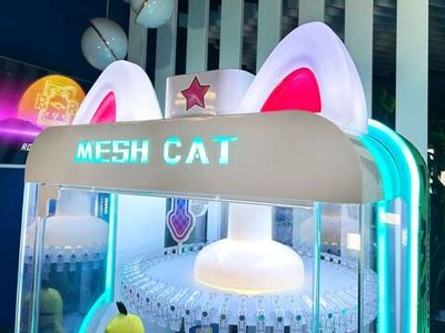 Призовой автомат прищепка "Mesh cat"