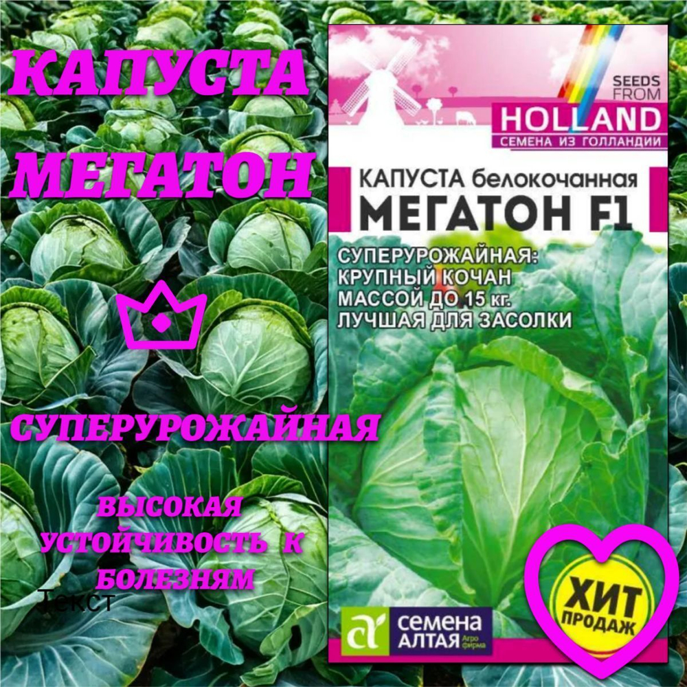 Капуста Мегатон(10шт). Семена Алтая