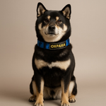 Ошейник Охрана