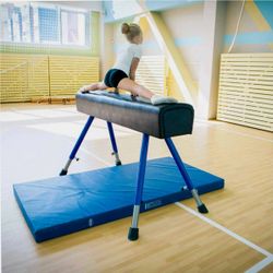 Конь гимнастический прыжковый