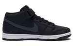 Кроссовки Nike Dunk Sb Iso