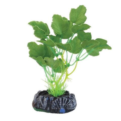 Растение шелковое "Гидрокотила", зеленое, 200мм, Laguna AQUA