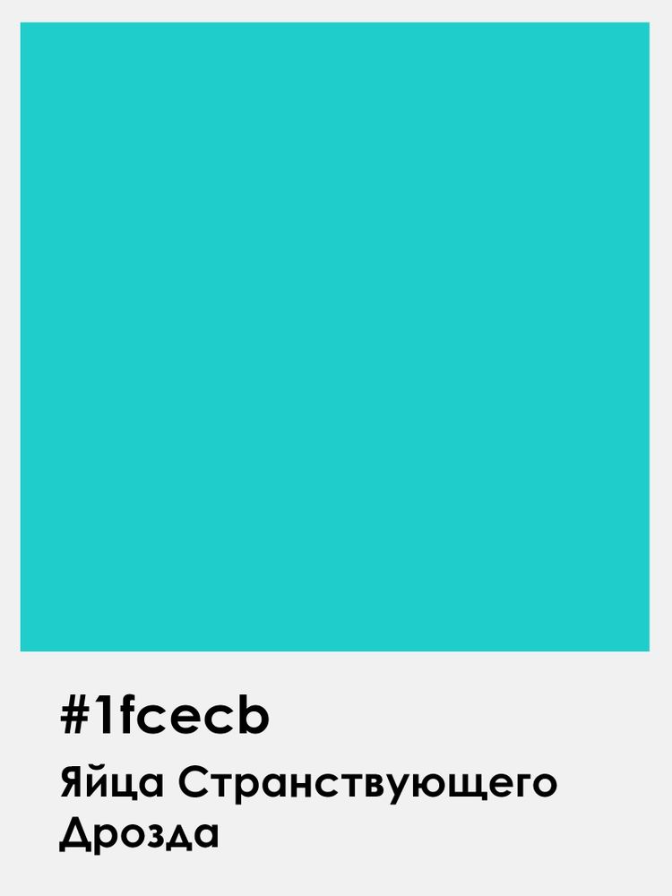 Яйца Странствующего Дрозда