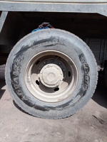 Shacman (Shaanxi) SX* 8x4 Самосвал SX33186T366 (Дизельный, 11,6 л, 369 л.с., МТ)