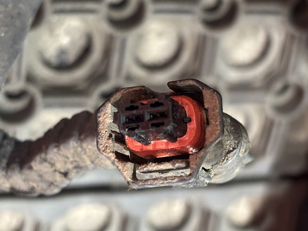 Проводка двигателя 2019г