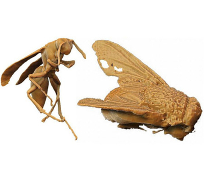 3D сканер DAVID-SLS-2