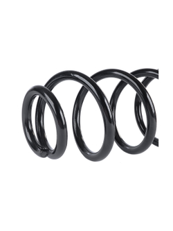 Пружина передняя L=R Ford Transit 2.3/2.2TDCi/2.4TDCi/3.2TDC GANZ GIK02636