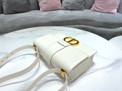 Christian Dior 30 Montaigne Bag