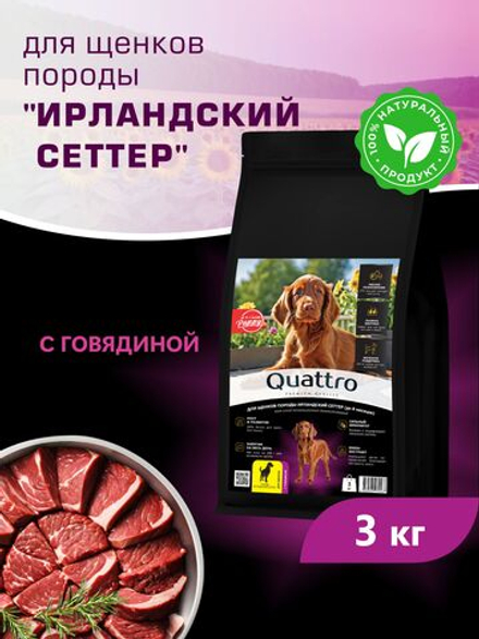 Корм сухой для щенков породы Ирландский сеттер, с говядиной, 3 кг, QUATTRO