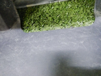 DSCN4001.jpg