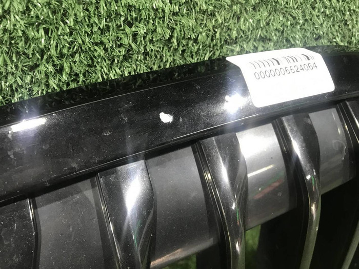 Решетка радиатора BMW X7 G07 (2019-2022)