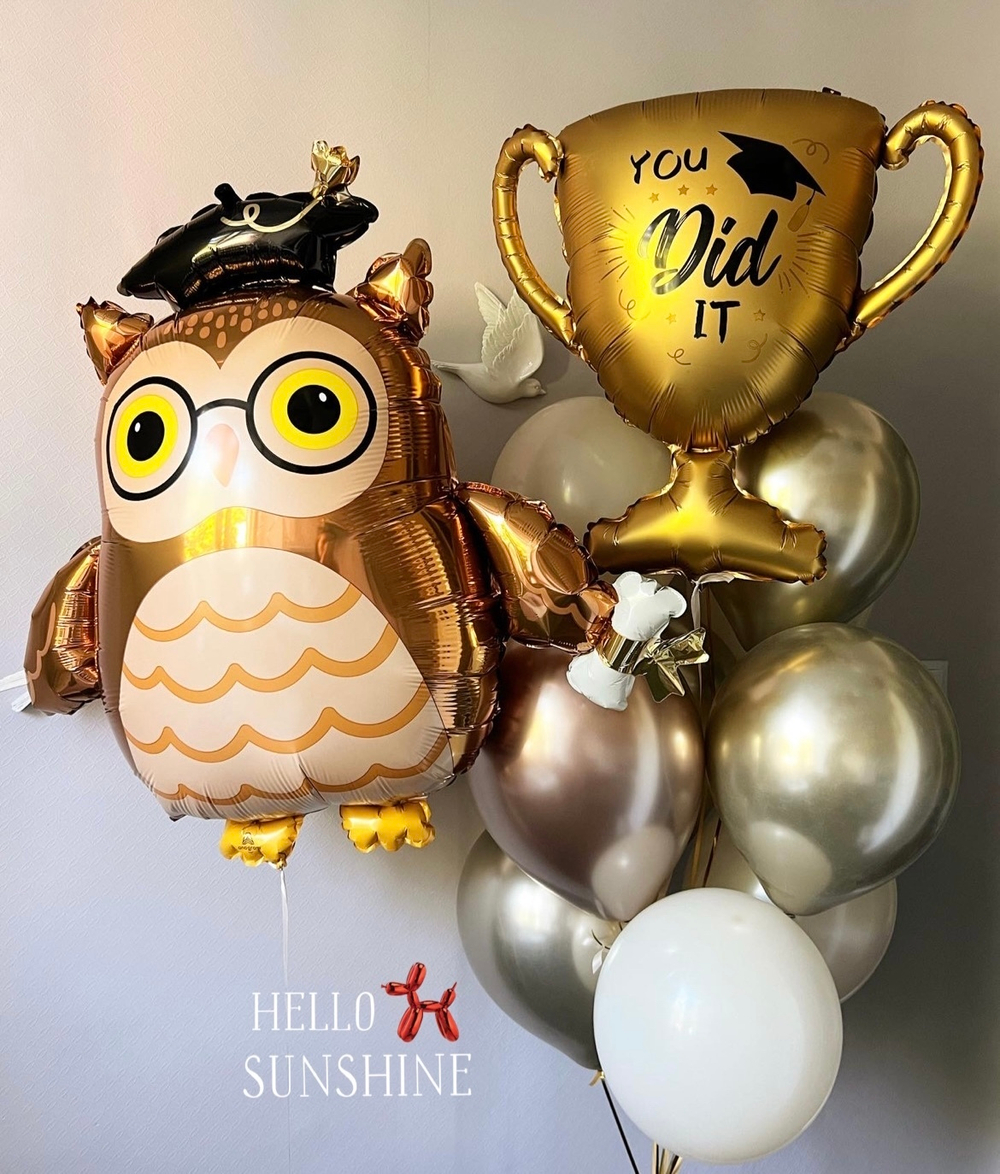 Набор шаров школьнику №6