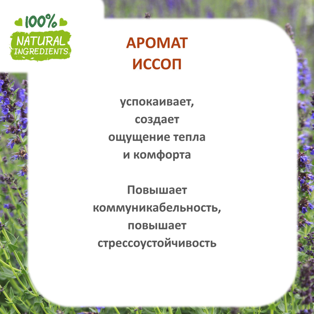 Иссоп, отдушка для свечей и мыла