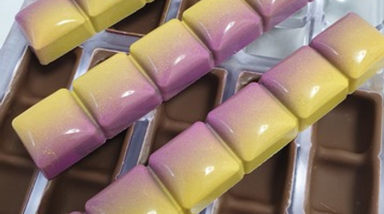 655 | Форма для шоколадных изделий (275*135 мм)