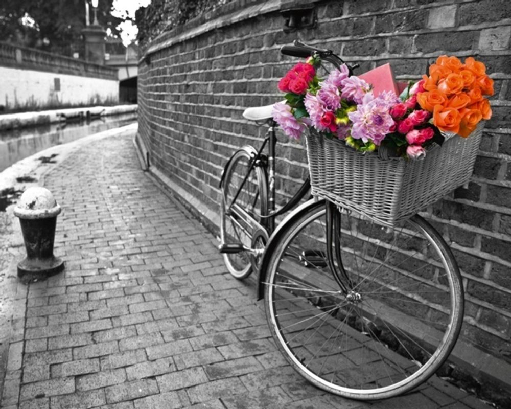 Картины по номерам 40х50 Велосипед с цветами (VA-1817)
