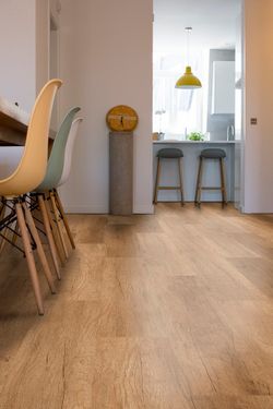 Design Concept Enzo 4007, 1,512 м²