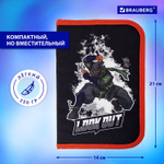 Пенал BRAUBERG 1 отделение 2 откидные планки полиэстер 21х14 см "Ninja"